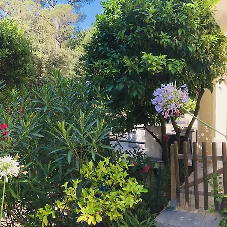 Апартаменти T2 En Rez-de-jardin Fleur De Sel Сен-Рафаель