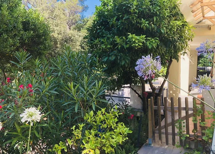 아파트 T2 En Rez-de-jardin Fleur De Sel Saint-Raphaël